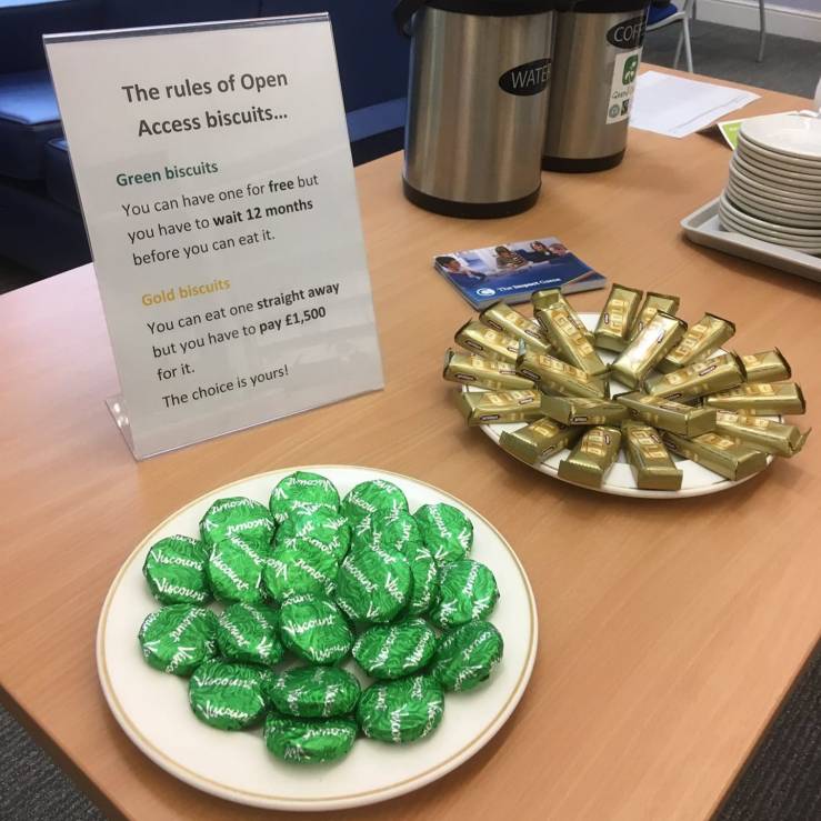 61892298_1176208172558851_2532352983040000000_o