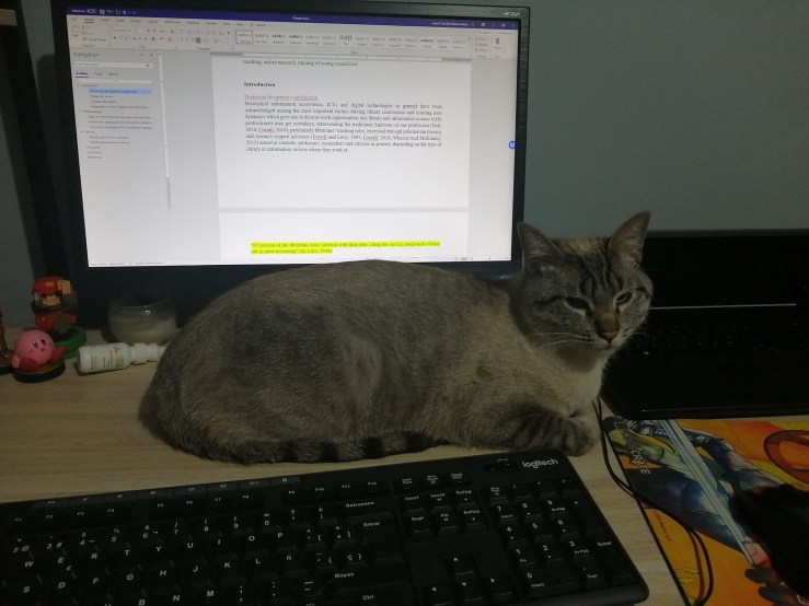 90964828_2567697063499590_6849228181367422976_o